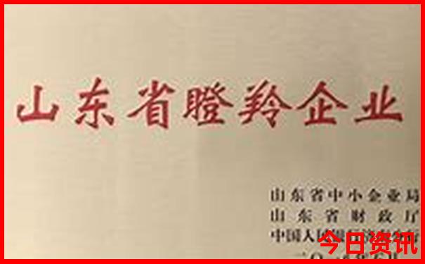浙江暑假带娃旅游好去处